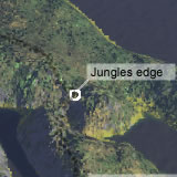 Jungles edge